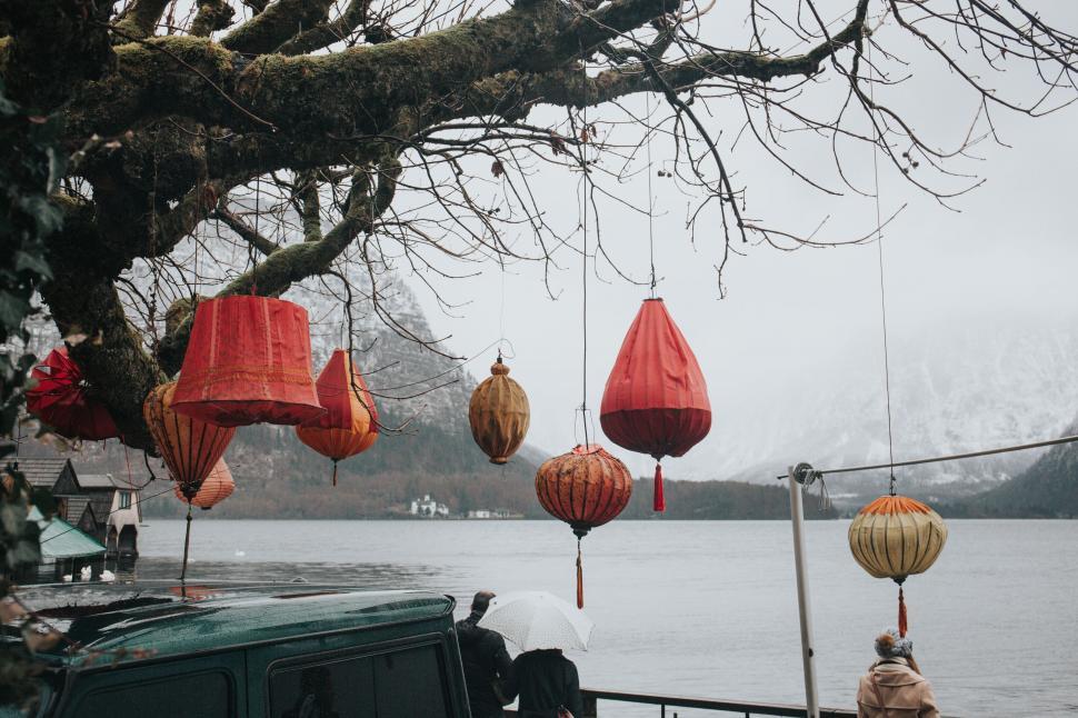 Free Image of Lanterns from a tree by a body of water 