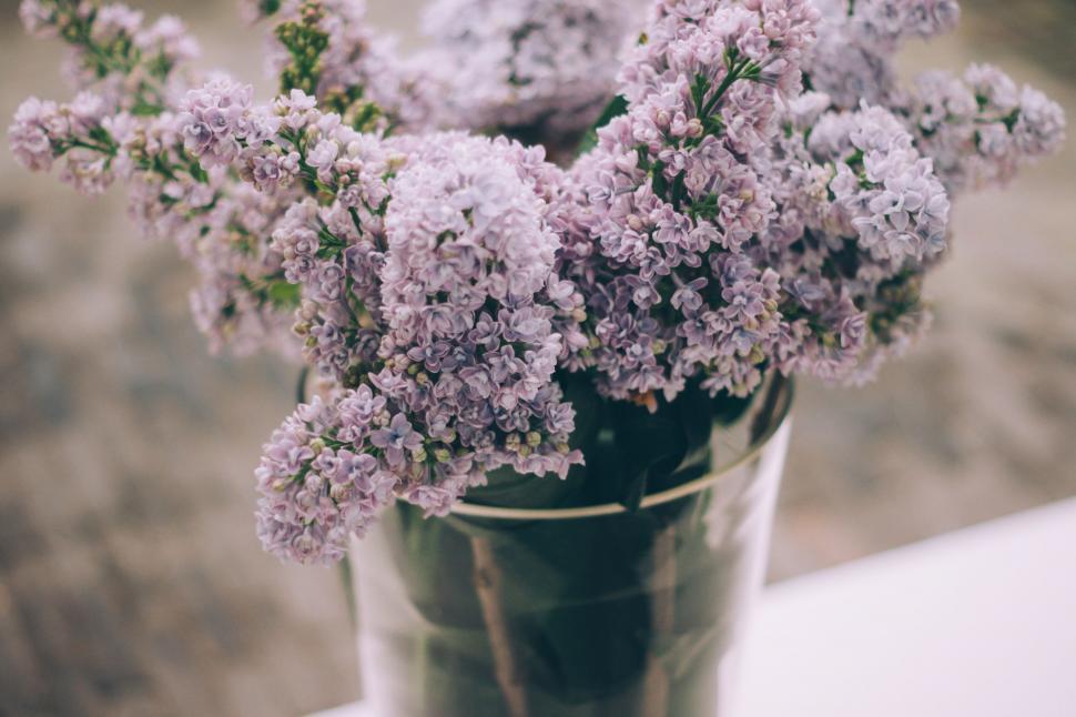 Free Image of A vase with purple flowers 
