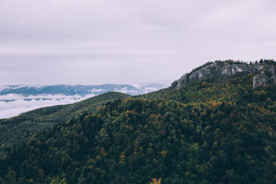 Free Image of A mountain with trees and fog 