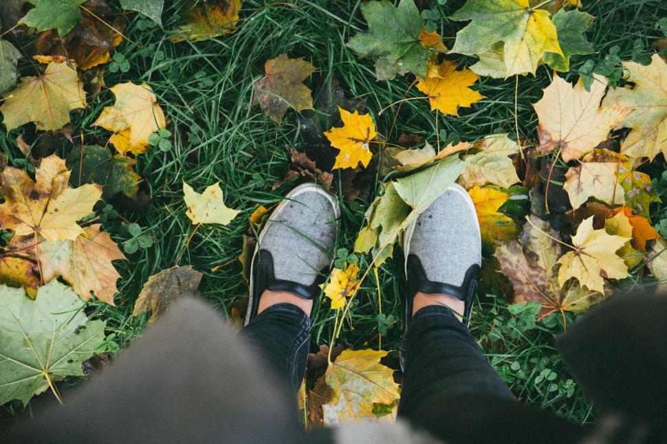 Free Image of A person s feet in a pile of leaves 