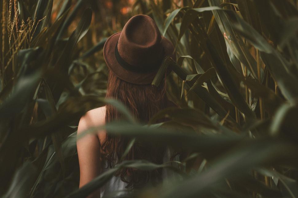 Free Image of A woman in a hat in a field of tall green plants 