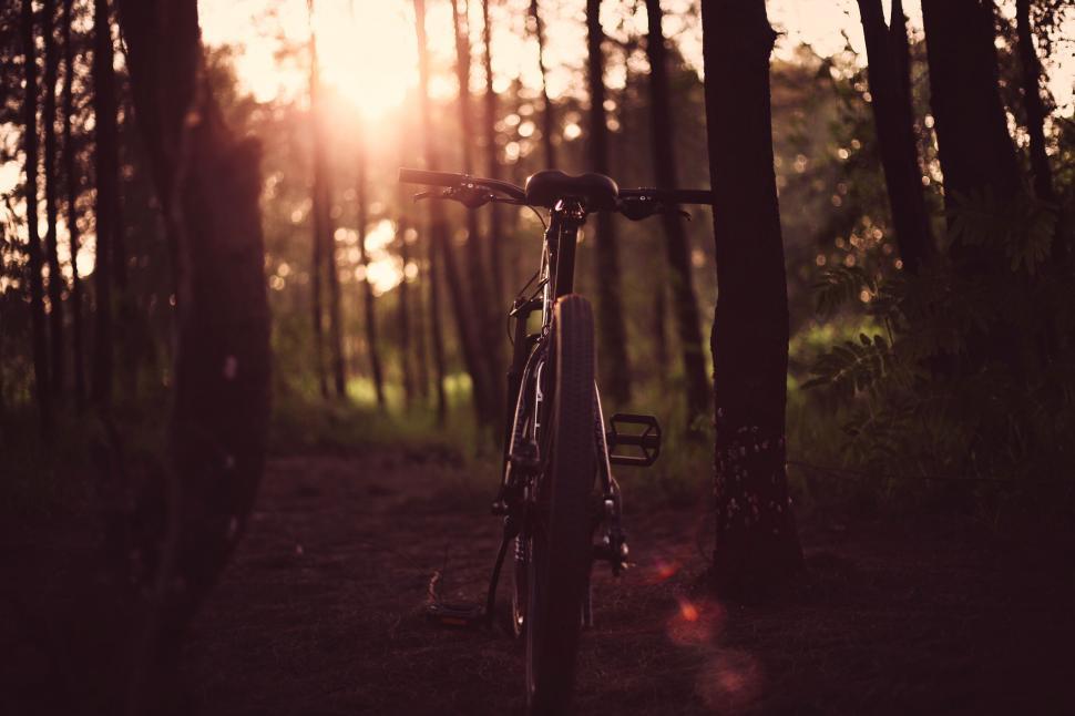 Free Image of A bicycle parked in the woods 