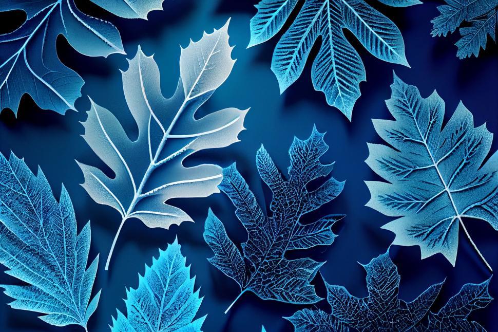 Free Image of A group of leaves on a blue background 
