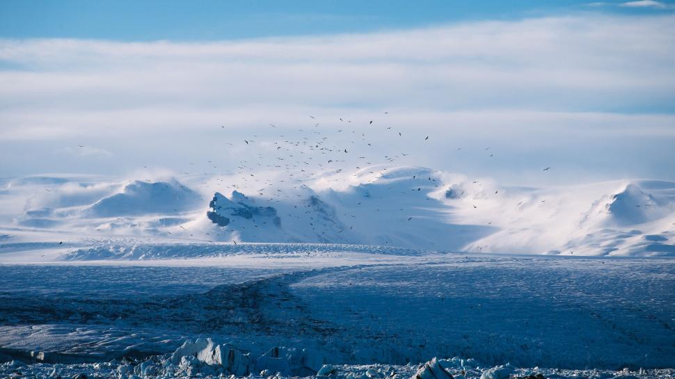 Free Image of A snowy landscape with birds flying over the mountains 