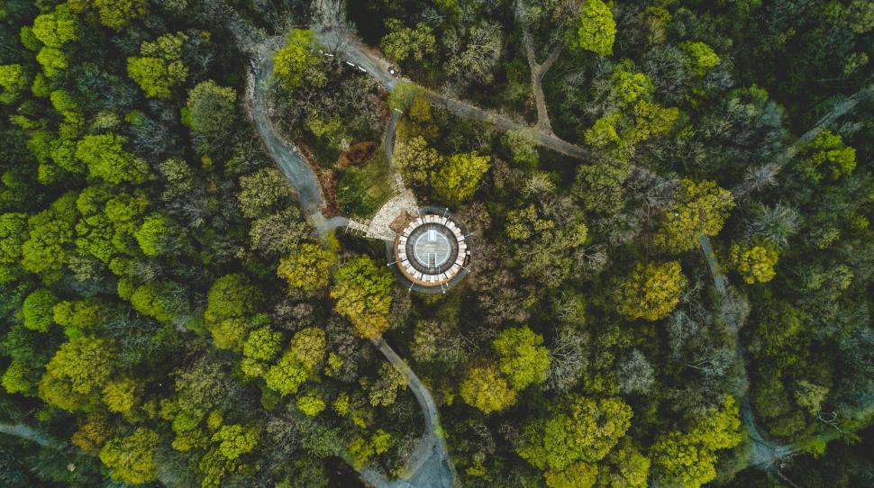 Free Image of A circular structure surrounded by trees 