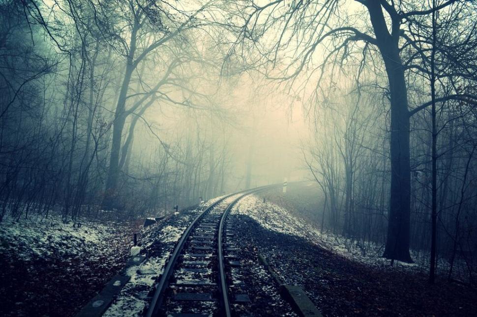 Free Image of A train tracks in a foggy forest 