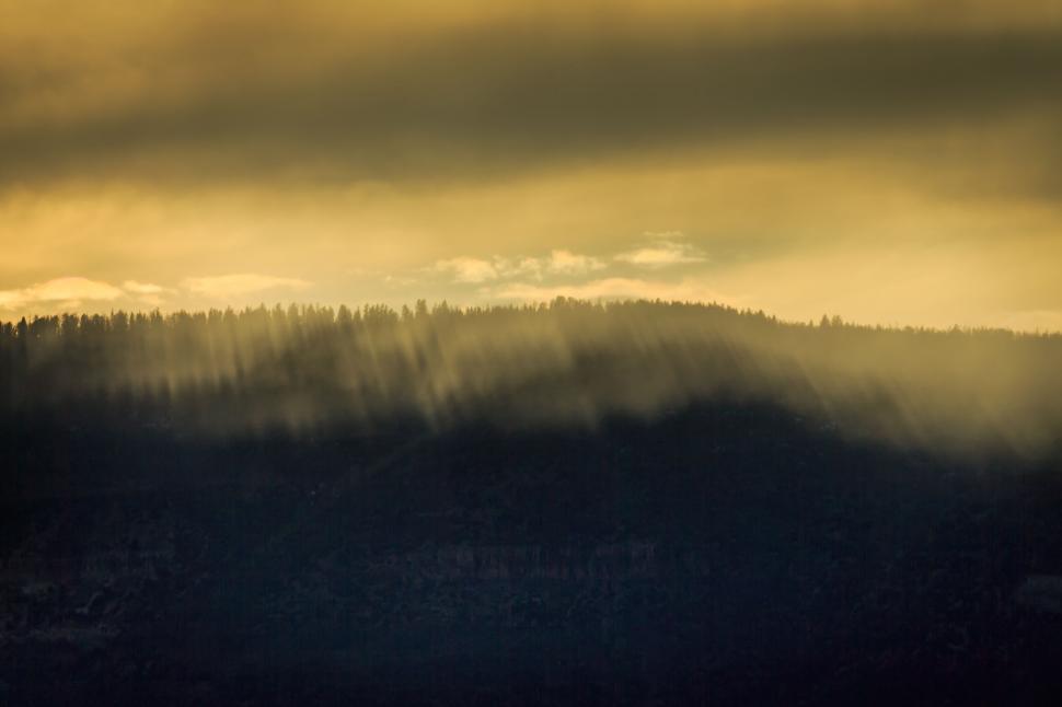 Free Image of A foggy mountain with trees in the background 