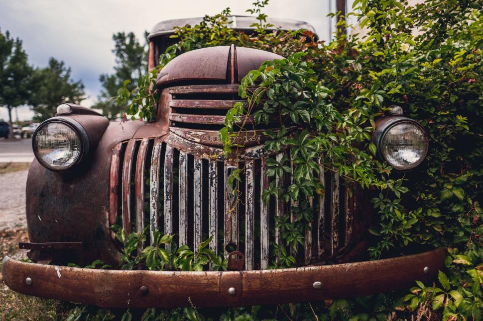 Free Image of A rusty old truck covered in ivy 