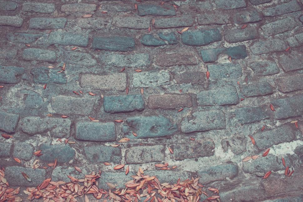 Free Image of A brick road with leaves on it 