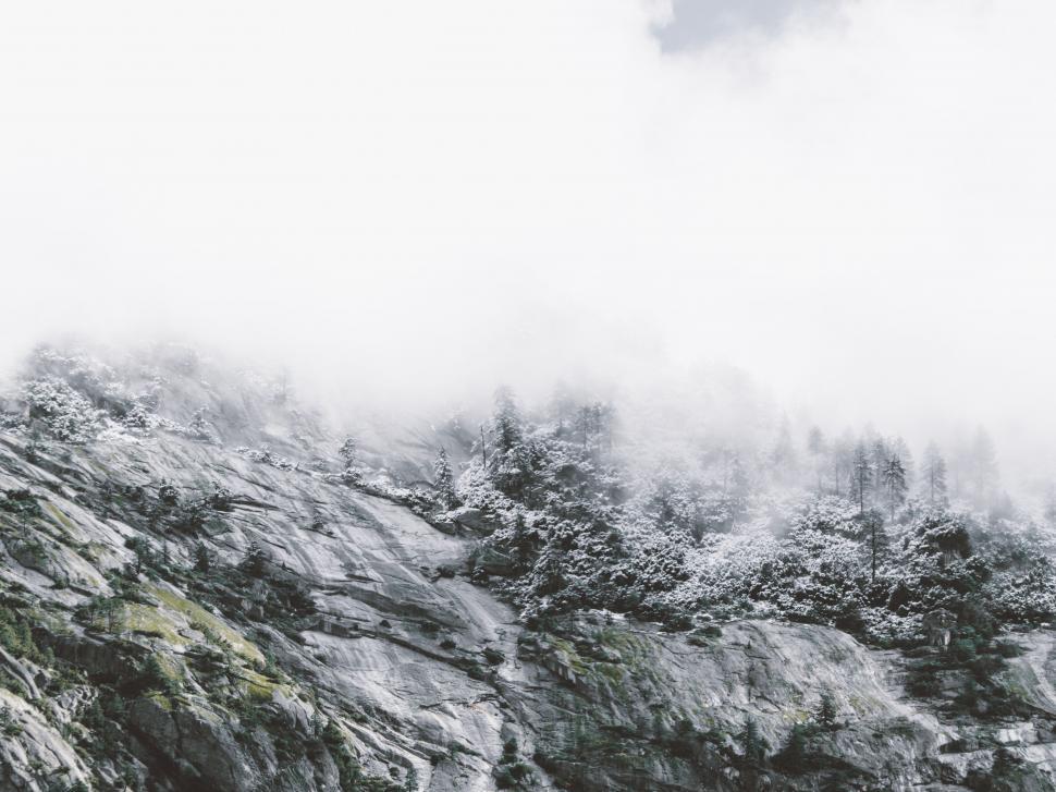 Free Image of A snowy mountain with trees and fog 