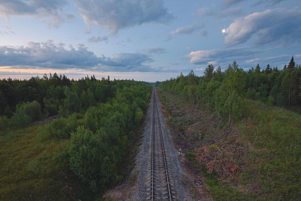 Free Image of A train tracks in a forest 