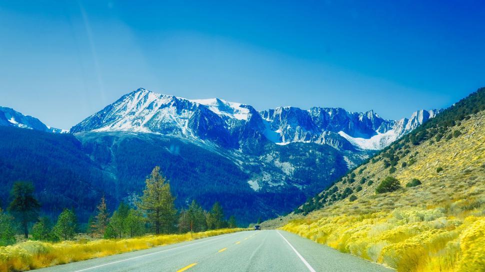 Free Image of A road with yellow flowers and snow covered mountains 