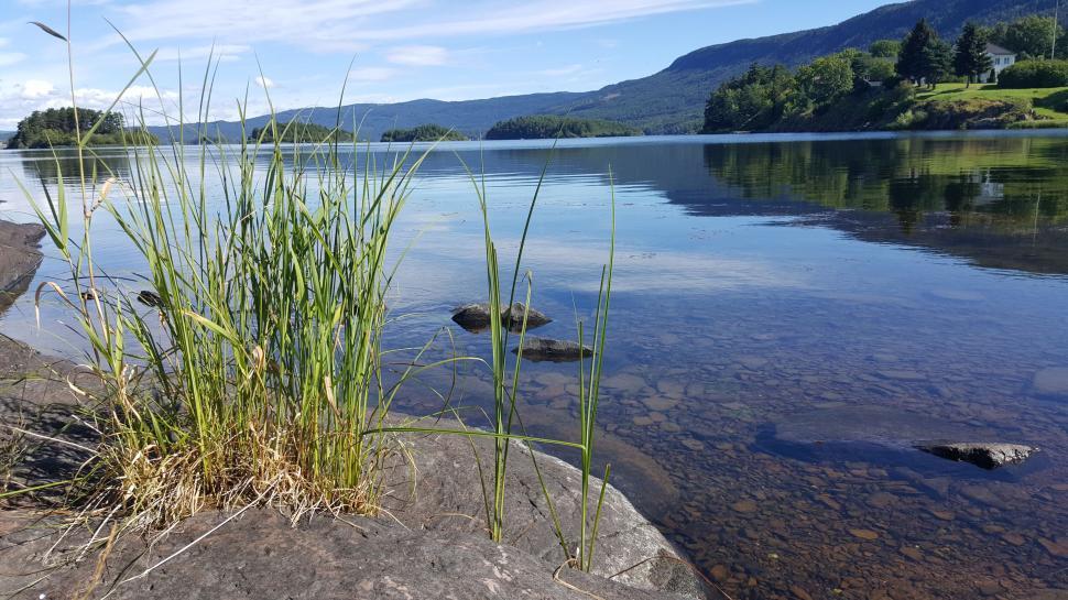 Free Image of A lake with grass and rocks 
