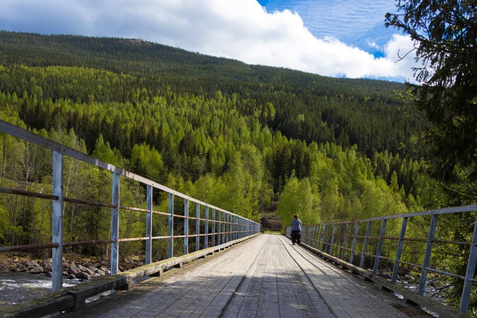 Free Image of A person walking on a bridge over a forest 
