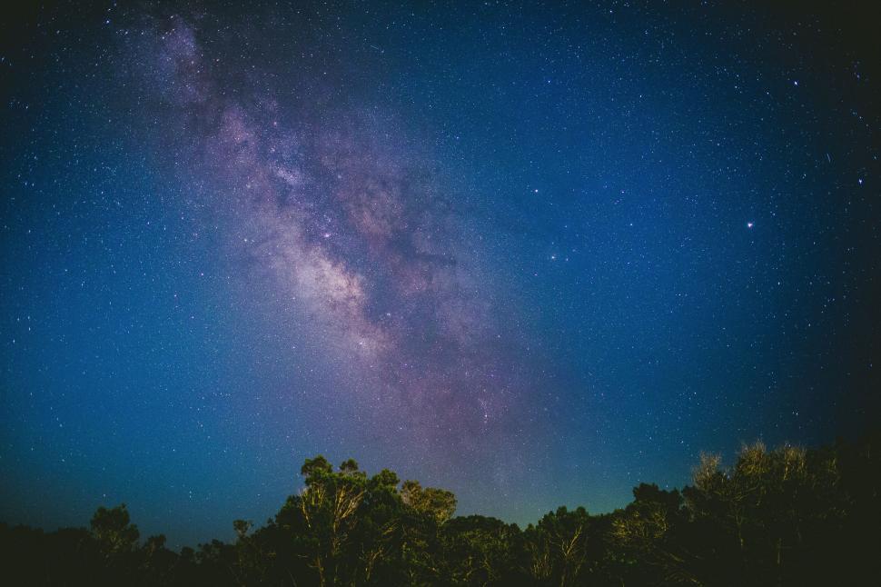 Free Image of A starry sky with trees 