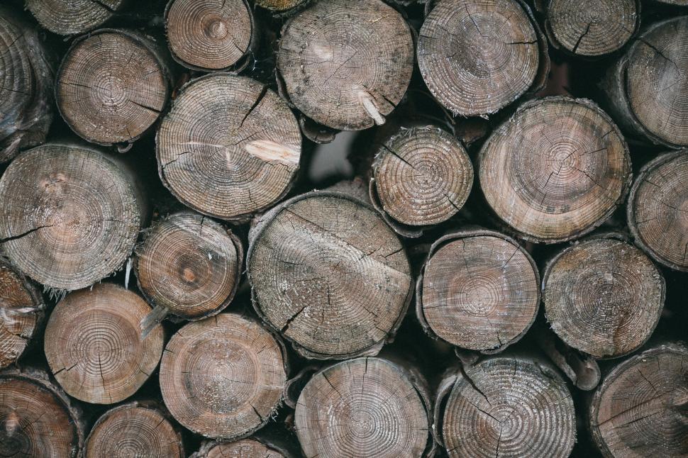 Free Image of A pile of cut logs 