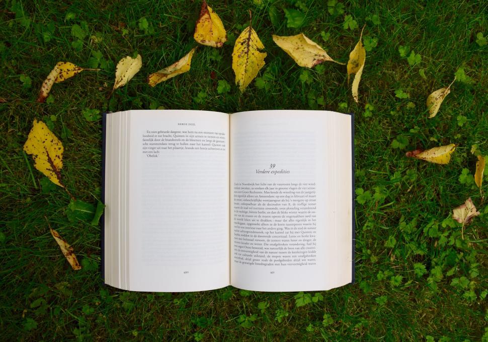 Free Image of An open book on grass with leaves 