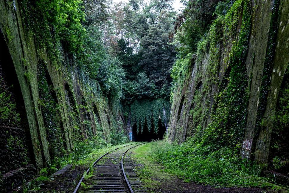 Free Image of A train tracks through a tunnel 