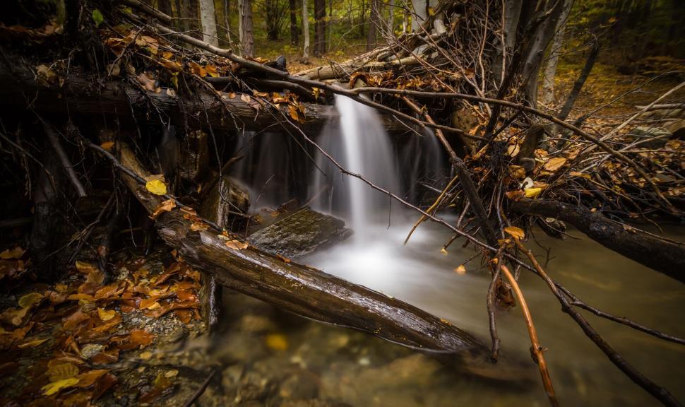 Free Image of A waterfall in a forest 