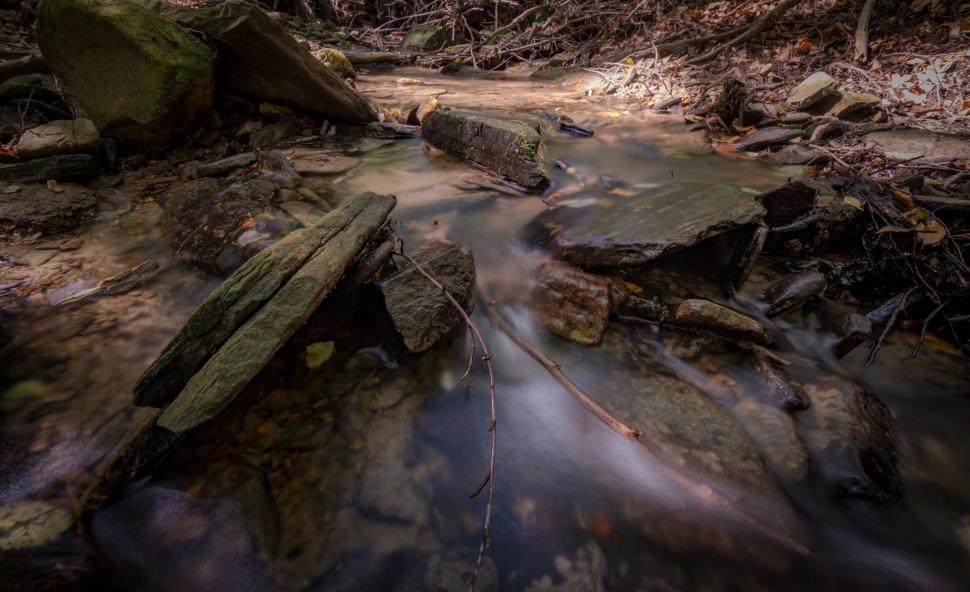 Free Image of A stream of water with rocks and branches 