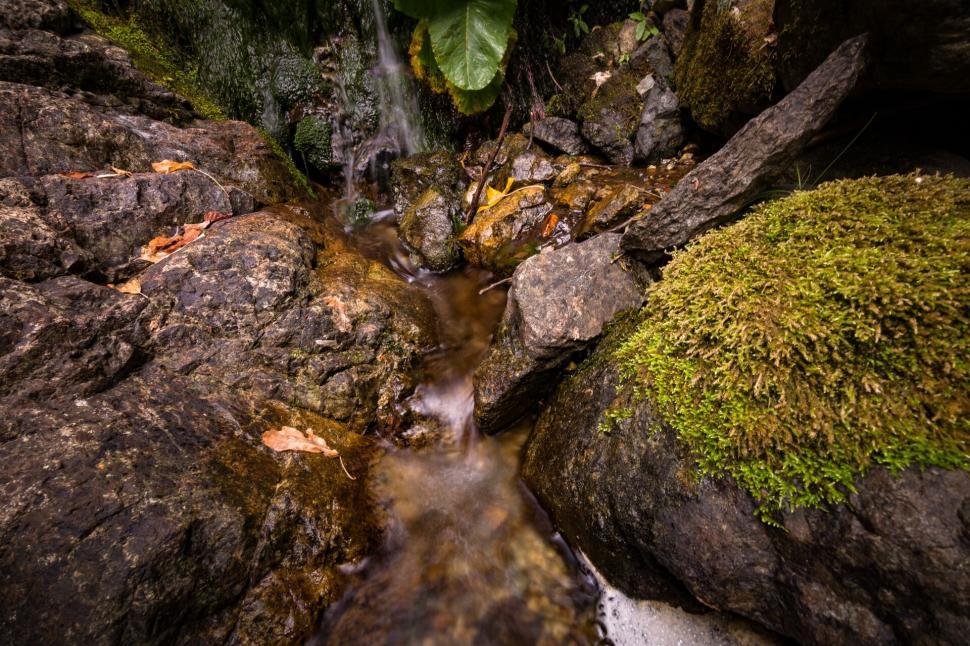 Free Image of A small waterfall in a forest 