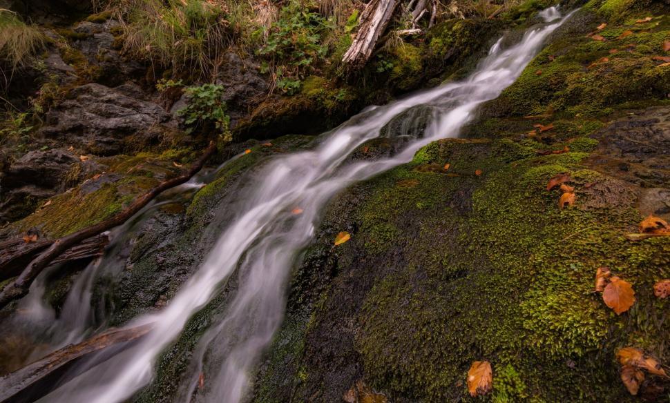 Free Image of A waterfall in the forest 