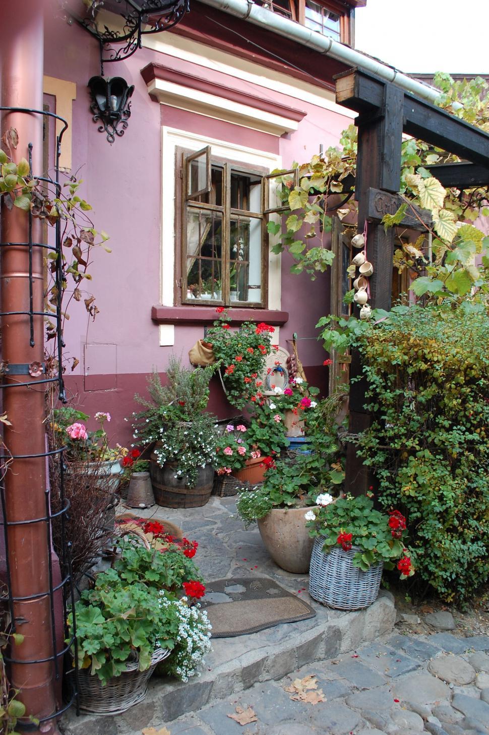 Free Image of A house with plants in pots 