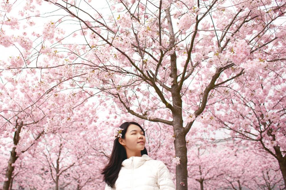 Free Image of A woman standing under a tree with pink flowers 