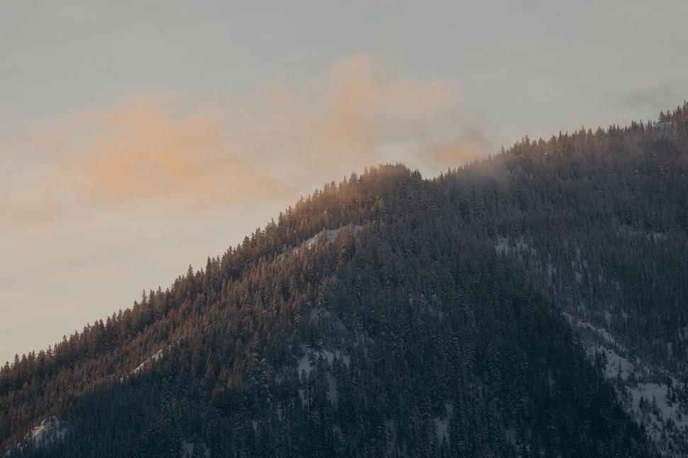 Free Image of A mountain with trees on it 