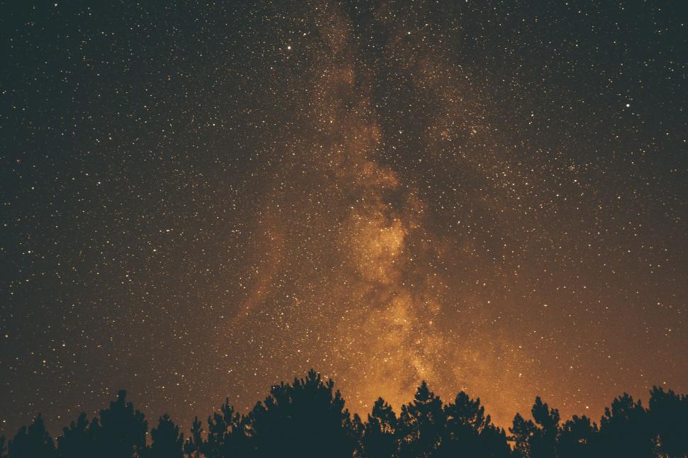 Free Image of A starry sky with trees 