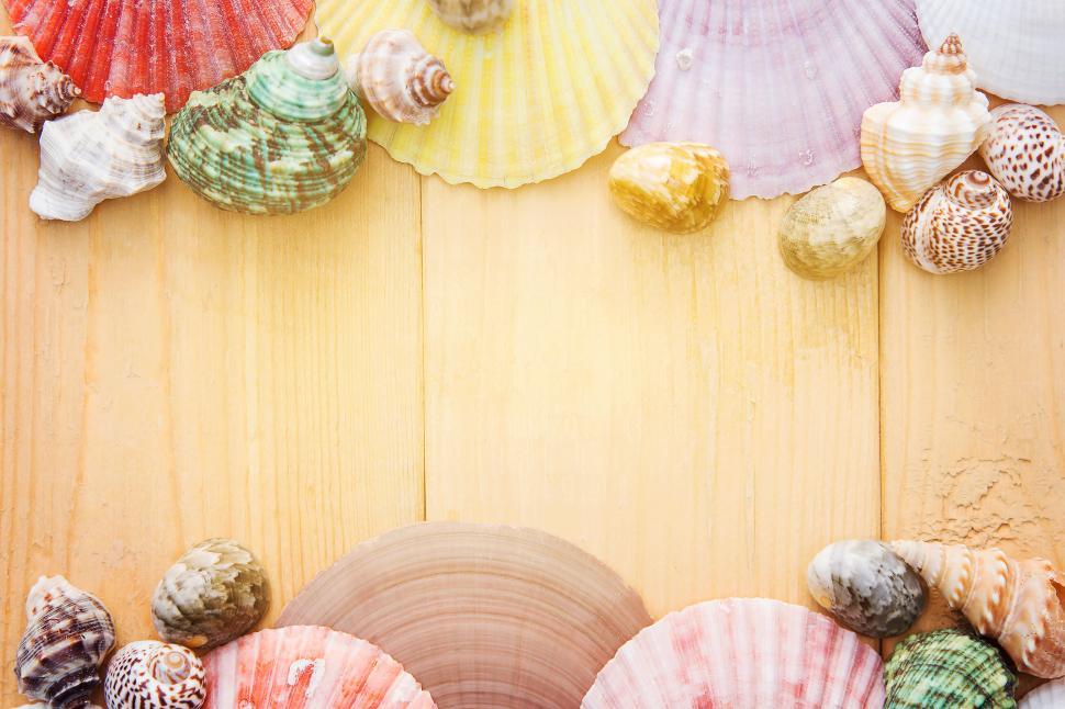 Free Image of A group of colorful seashells on a wood surface 