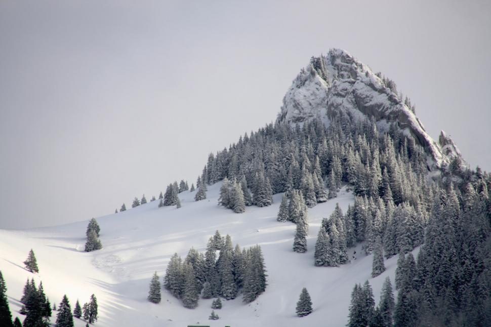 Free Image of A snowy mountain with trees 