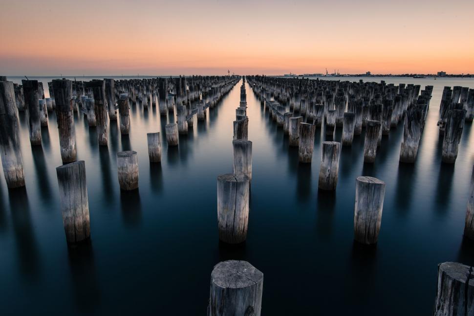 Free Image of A group of wooden poles in water 