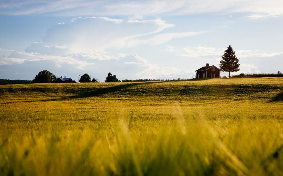 Free Image of A house in a field 