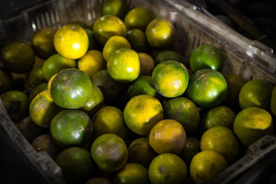 Free Image of A basket of limes 