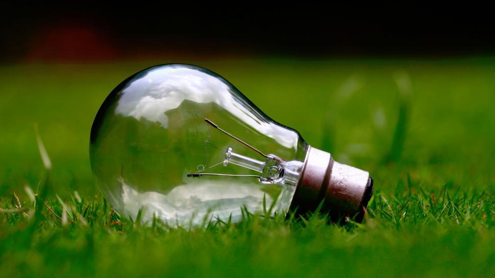 Free Image of A light bulb lying on grass 
