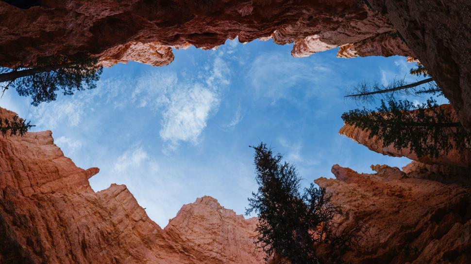 Free Image of Looking up at a canyon with trees and blue sky 