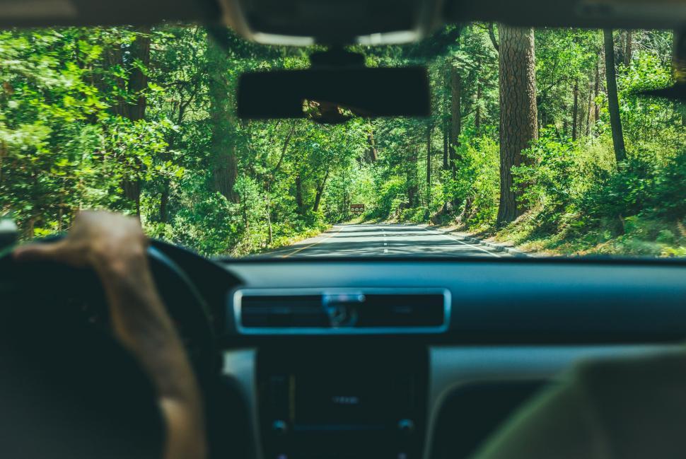 Free Image of A view from inside of a car on a road through trees 