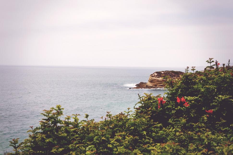 Free Image of A cliff next to the ocean 