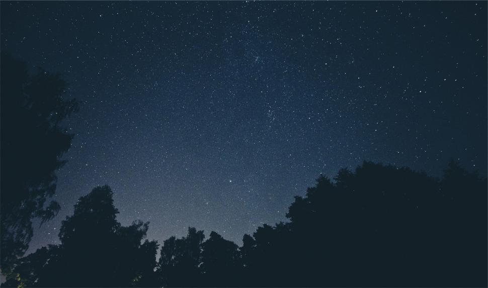 Free Image of A starry sky over trees 