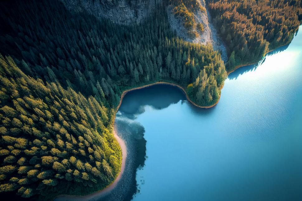 Free Image of Aerial view of a forest-edged lake 