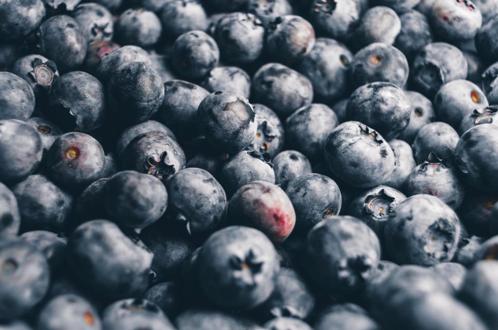 Free Image of Close-up of fresh blueberries texture 