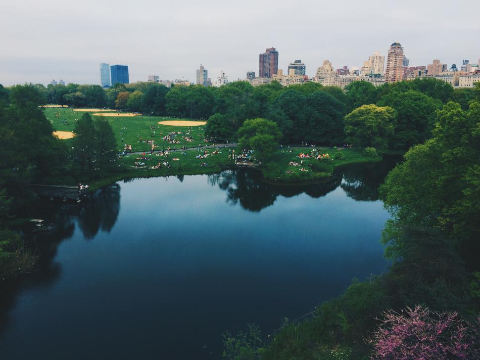 Free Image of Serene Central Park Landscape with Pond 