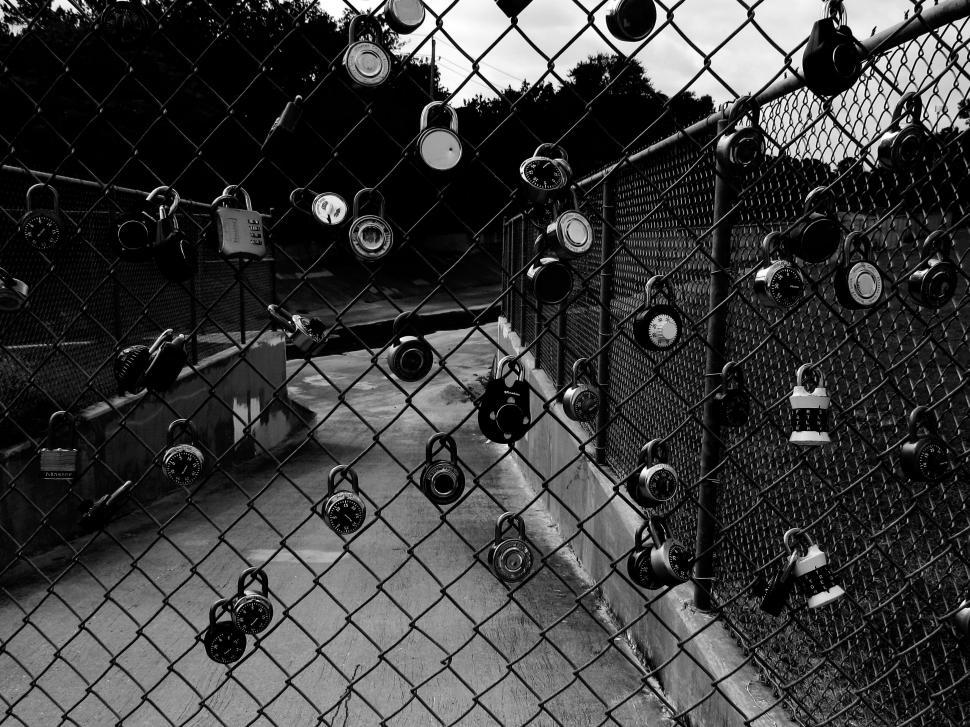 Free Image of Padlocks attached to a chain-link fence 