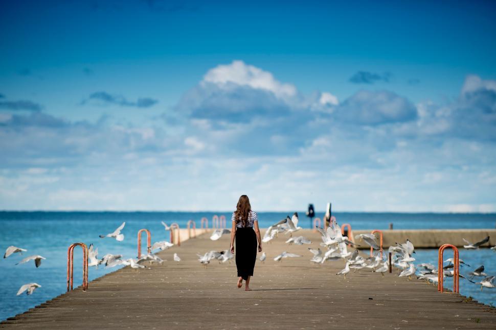 Free Image of Woman walking among seagulls on the pier 