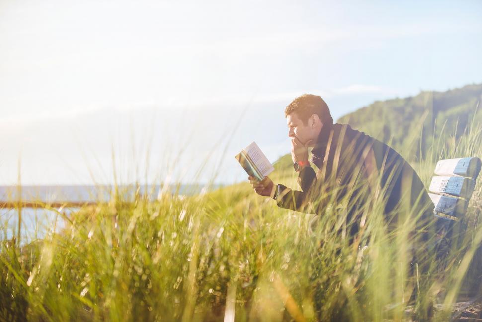 Free Image of Man reading book in sunny nature setting 