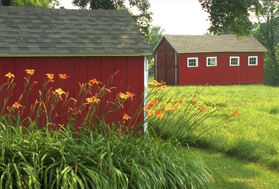 Free Image of Red Barn in Grassy Field 
