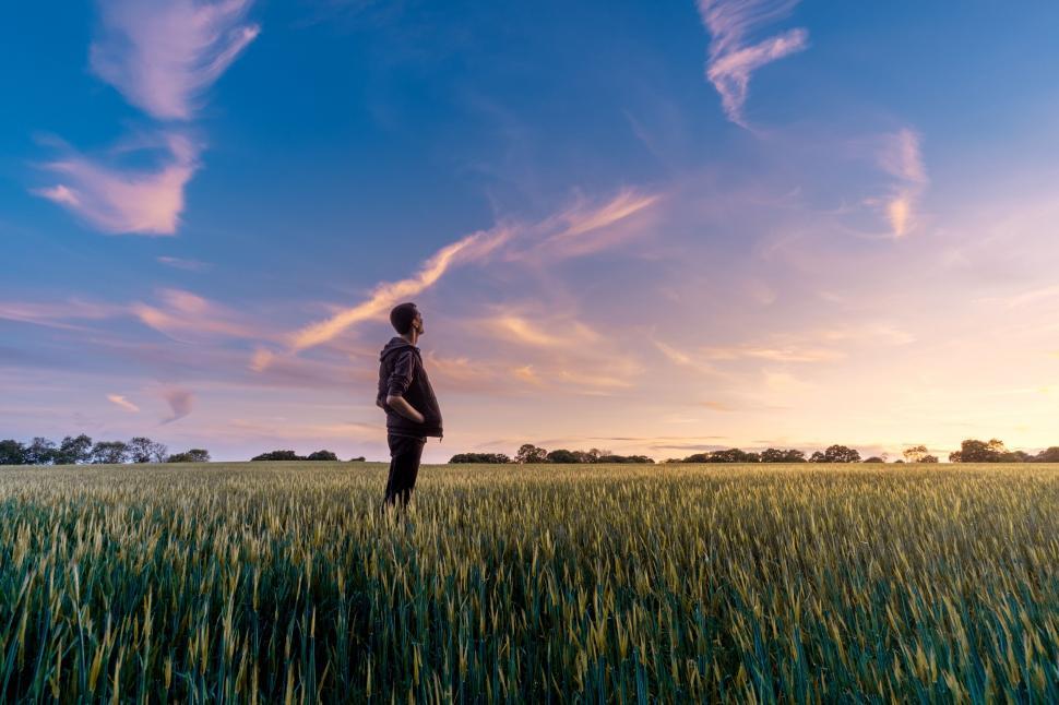 Free Image of Woman enjoying sunset in a wheat field 