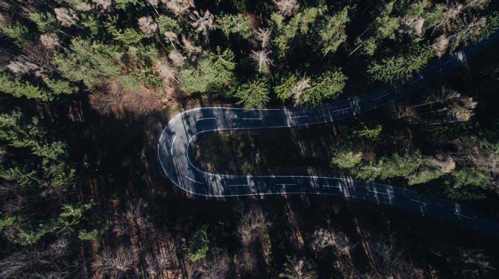 Free Image of Curved road through dense forest from above 