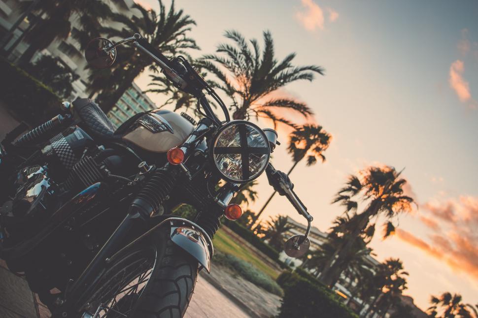 Free Image of Vintage motorbike at sunset with palm trees 